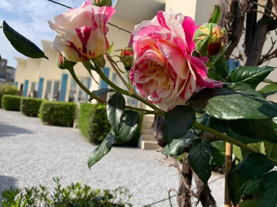 Hotel L'Etape Villeneuve-Loubet Buitenkant foto